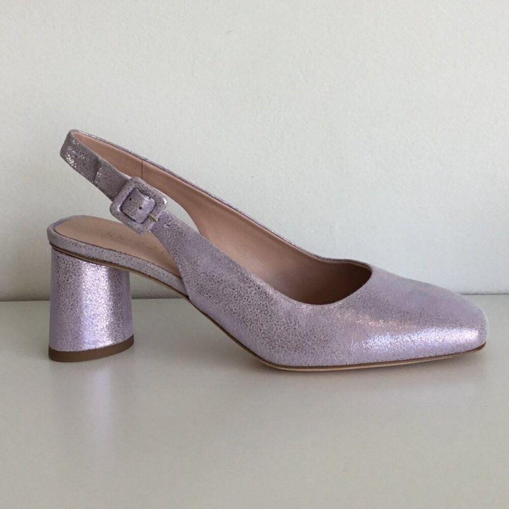 KK DODDS Genevieve - Peonia